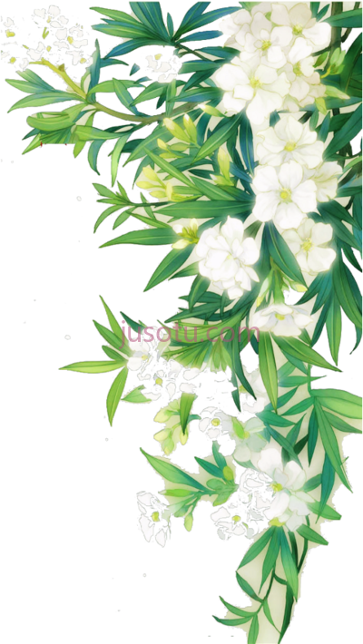 白色花绿水彩,white nature border leaves landscape green watercolor PNG
