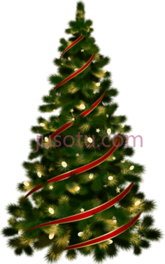 圣诞树PNG