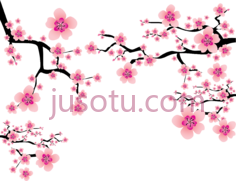 樱花, PNG