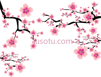 樱花,sakura blossom plum flower cherry PNG