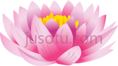 莲花,植物,植被,草木 PNG