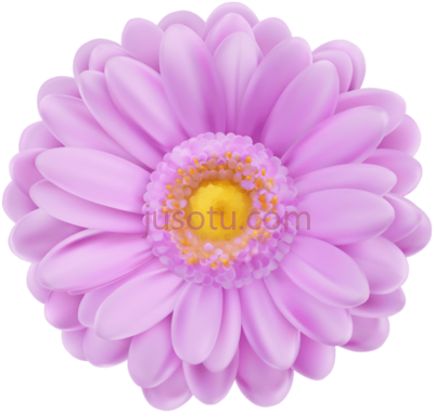 紫色花,soft purple PNG