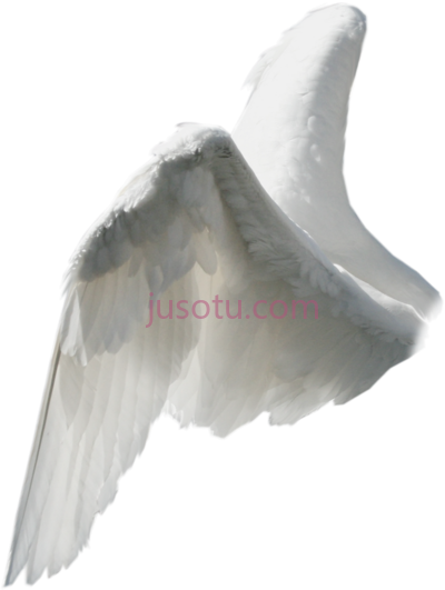 天使翅膀,angels white fantasy beautiful from side PNG