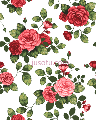 美丽玫瑰,beautiful rose PNG