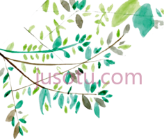 藤蔓植物叶子树枝,color PNG