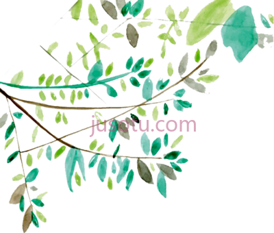 藤蔓植物叶子树枝,vines water tree branches leaves PNG
