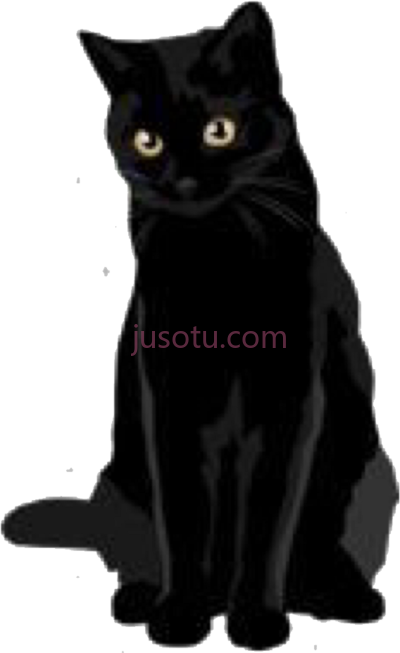 猫,cat PNG