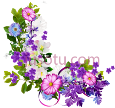 环形花束,花 PNG