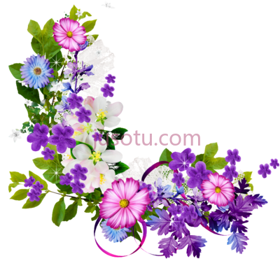 环形花束,ring bouquet plant flora border PNG