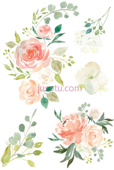 水彩花,watercolor hand drawn PNG