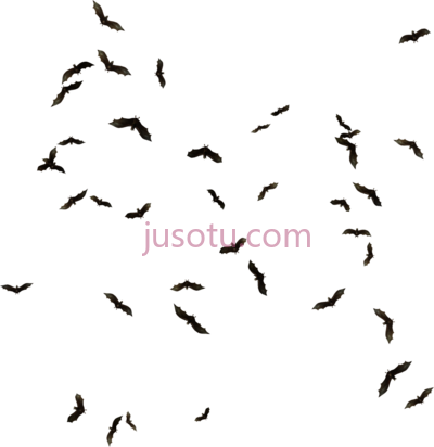 蝙蝠群,batflock bats PNG