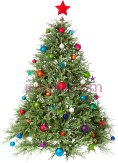 圣诞树PNG