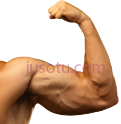 手臂肌肉PNG