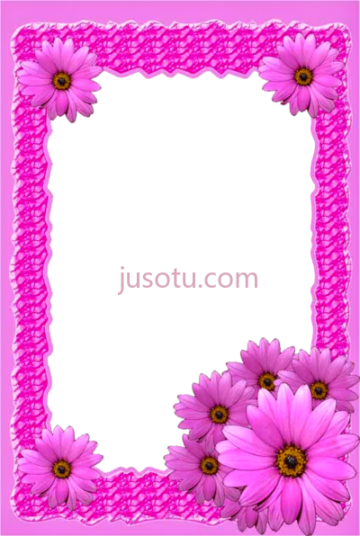 粉红色花,pink flower PNG