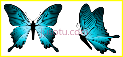 蓝蝴蝶,best blue butterflies dragonflies PNG