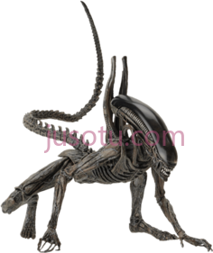 异种异形, PNG