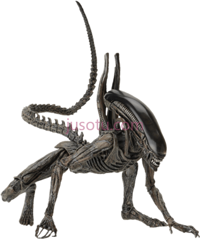 异种异形,xenomorph alien PNG