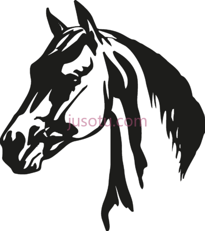 马头,horse head PNG
