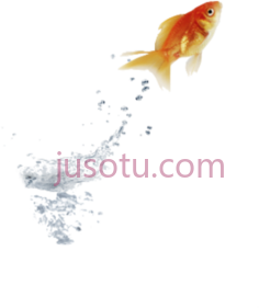 金鱼跳水PNG