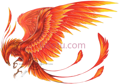 凤凰鸟,phoenix bird PNG