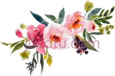 水彩花PNG