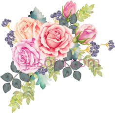 花环花束,色彩 PNG