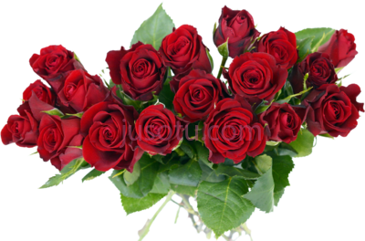玫瑰花束,bouquet pure flower PNG
