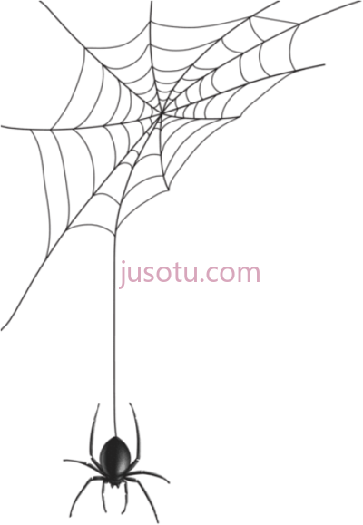蜘蛛网,spider web halloween PNG
