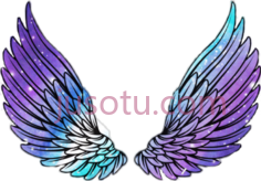 天使之翼PNG