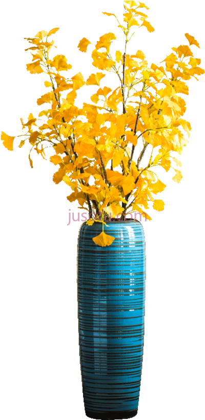 花瓶,lightbox moreview floor flower vase PNG