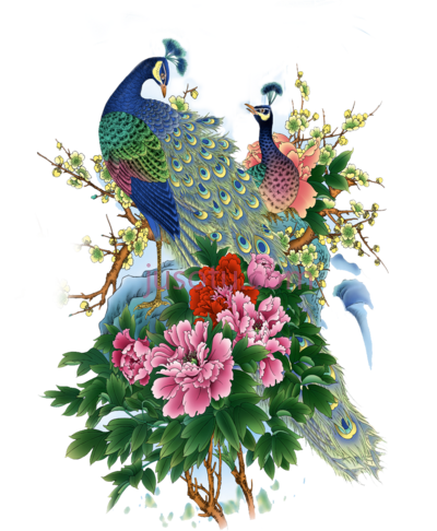 牡丹孔雀花,format peonies peacock and flower PNG