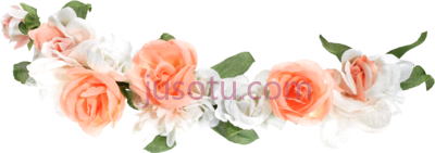 花,crown PNG