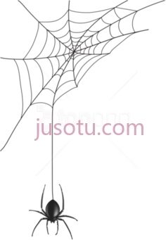 蜘蛛PNG