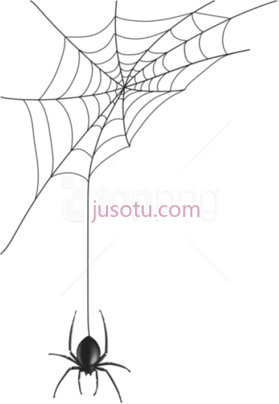 蜘蛛,spider man PNG