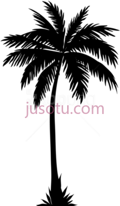 棕榈PNG