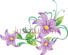 花卉,图标 PNG