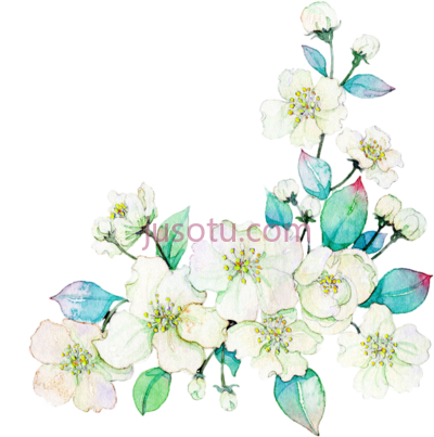 栀子水彩花,gardenia watercolor painting flowers white PNG