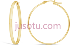 金耳环, PNG