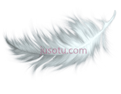 羽毛,nature feathers bird white PNG