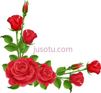 玫瑰花边,rose flower border PNG