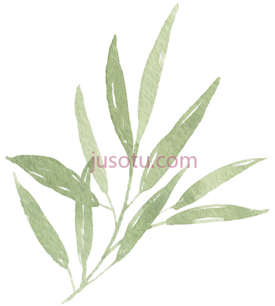 水彩叶,watercolor leaf PNG