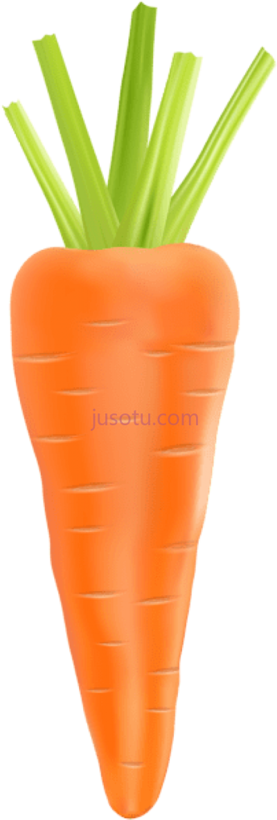 胡萝卜,carrot PNG