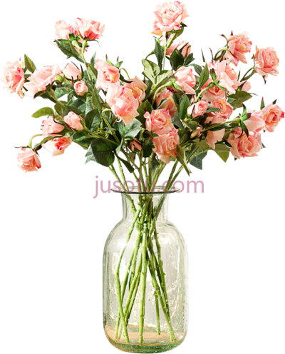 花瓶,flower vase PNG