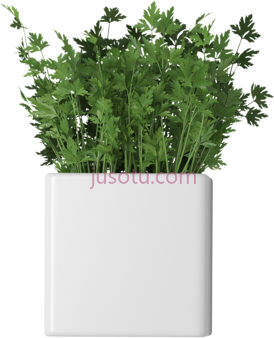 盆栽植物,parsley in pots PNG