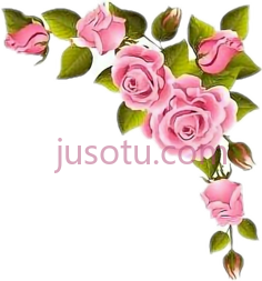 玫瑰,花 PNG