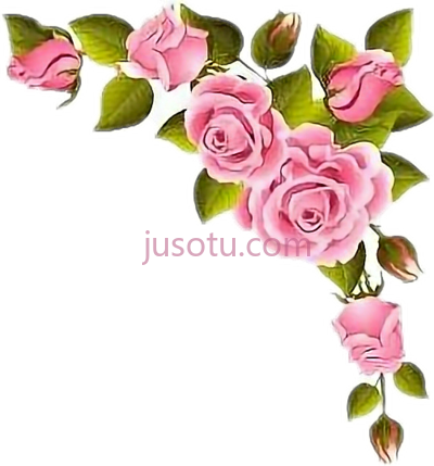 玫瑰,rosas borde perfume PNG