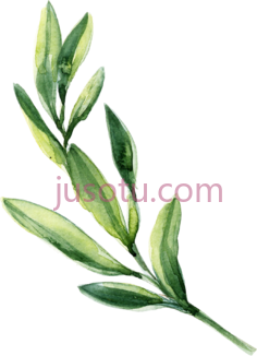 水彩叶PNG
