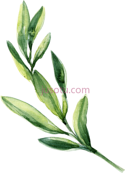 水彩叶,watercolor leaf leaves green PNG