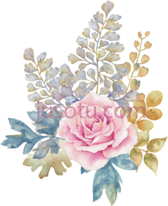 水彩花,flower PNG