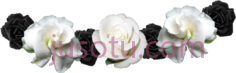 黑白花flowerPNG